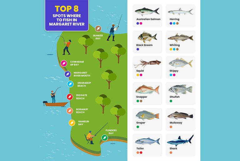 Top 8 Spots Where to Fish in Margaret River Harvest Tours